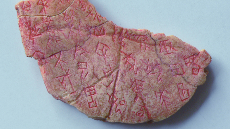 Image Alternative text