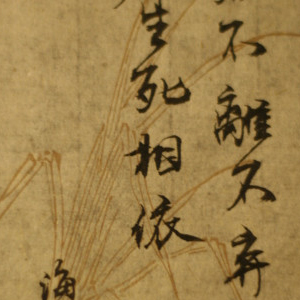 Image Alternative text