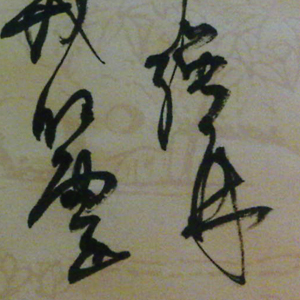 Image Alternative text