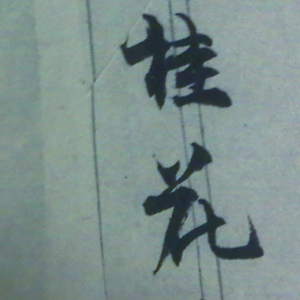 Image Alternative text