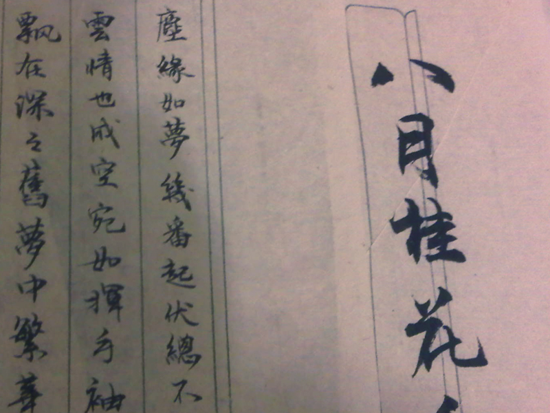 Image Alternative text